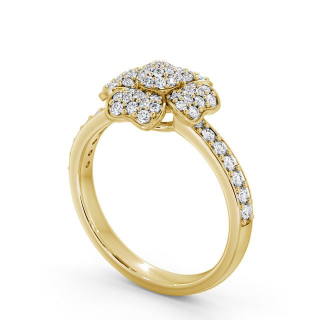 Cluster Round Diamond 0.45ct Ring 9K Yellow Gold - Heiton CL20_YG_SIDE