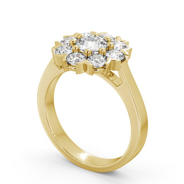 Cluster Diamond Ring 18K Yellow Gold - Lurley CL5_YG_SIDE