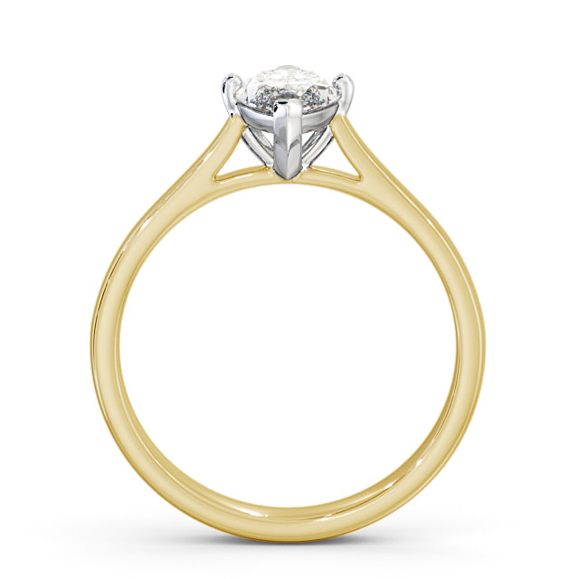 Decima ENMA16_YWG_UP