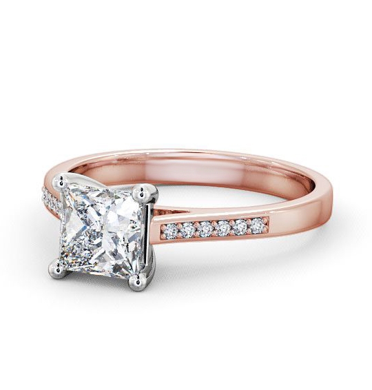 Brinsley Princess Diamond Engagement Ring Side Stones Cathedral Setting ENPR14S_RWG_THUMB2 