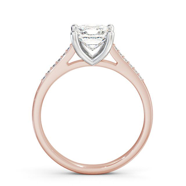 Brinsley ENPR14S_RWG_UP