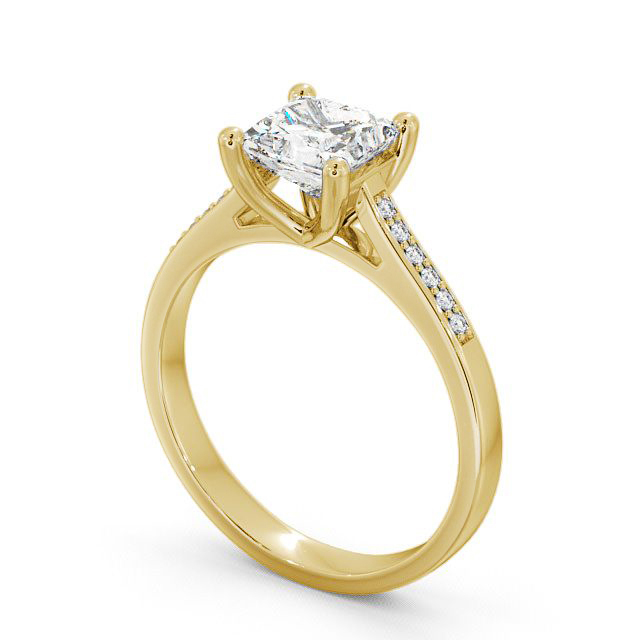 Princess Diamond Engagement Ring 18K Yellow Gold Solitaire With Side Stones - Brinsley ENPR14S_YG_SIDE