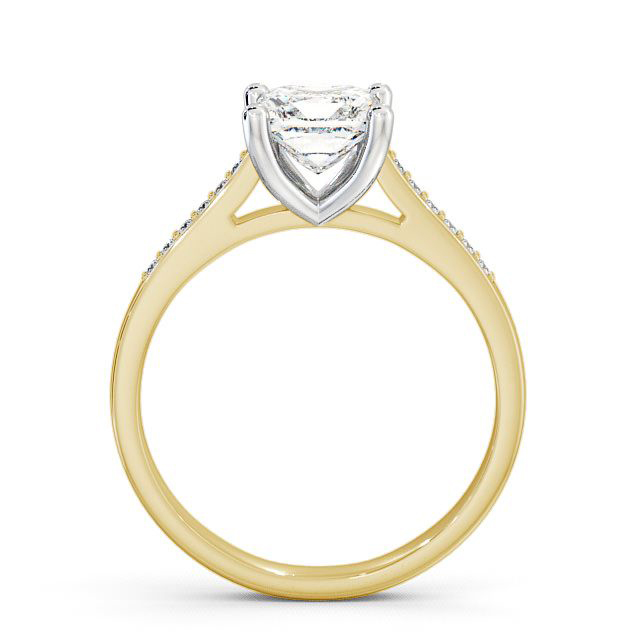 Brinsley ENPR14S_YWG_UP