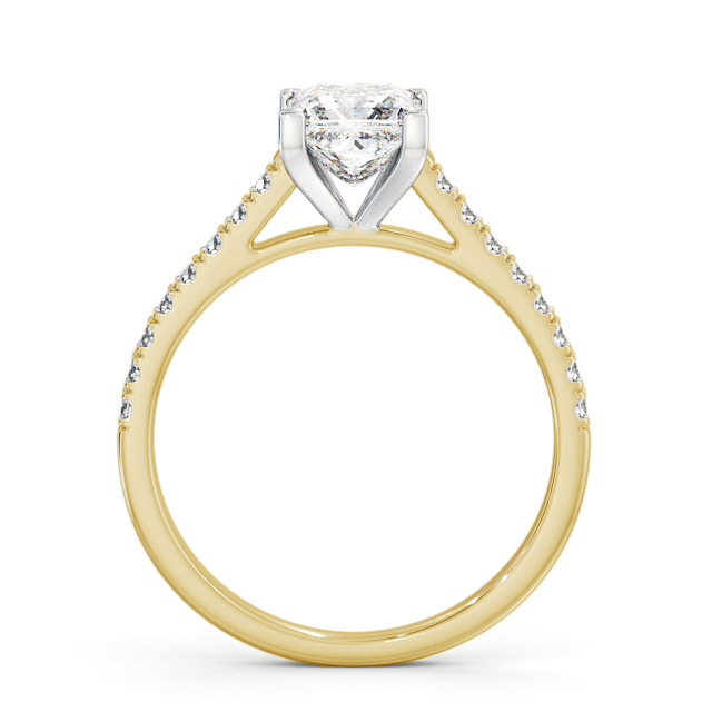 Cornelia ENPR44_YWG_UP