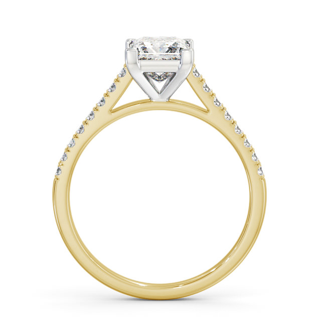 Farran ENPR55S_YWG_UP