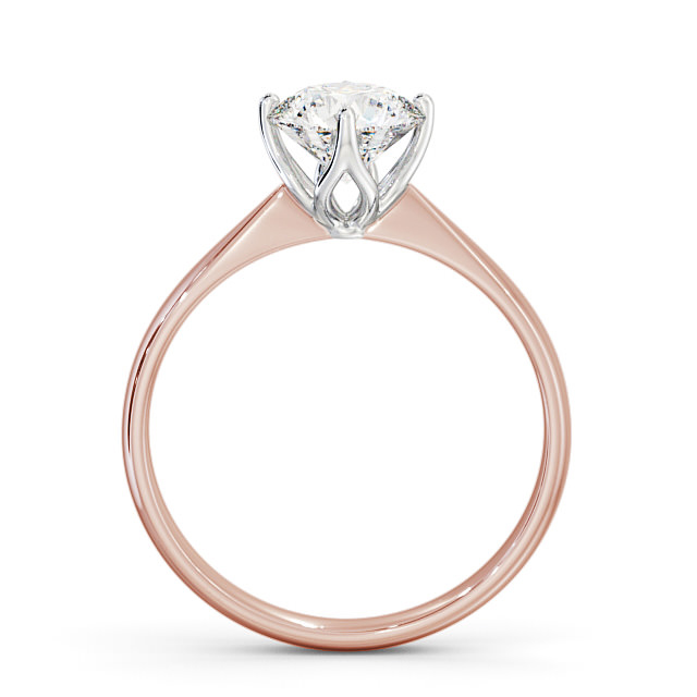 Perla ENRD100_RWG_UP