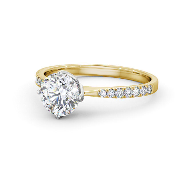 Selene ENRD100S_YWG_FLAT