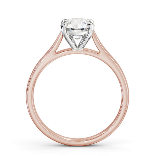 Sintra ENRD113_RWG_UP