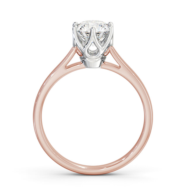 Abigail ENRD137_RWG_UP