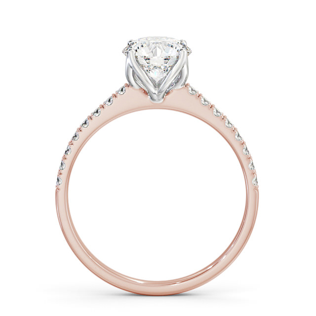 Fulvia ENRD144S_RWG_UP