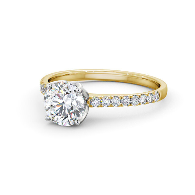 Fulvia ENRD144S_YWG_FLAT