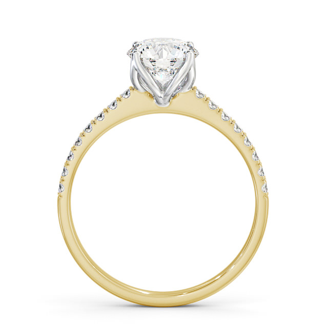 Fulvia ENRD144S_YWG_UP