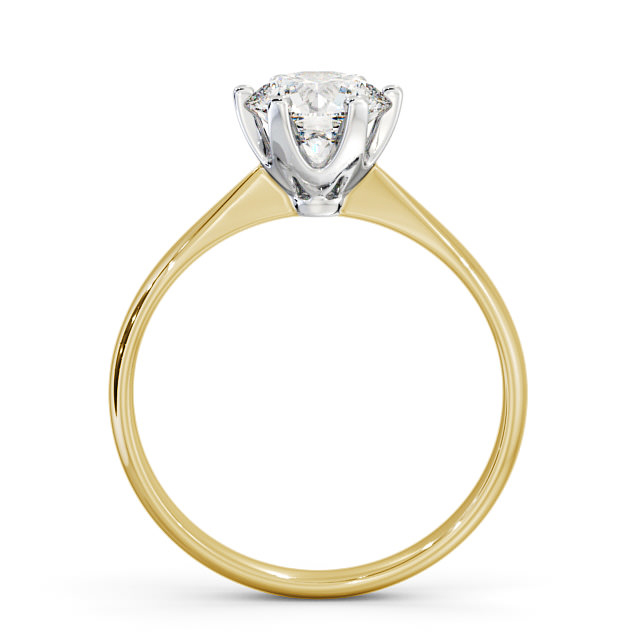 Grazia ENRD151_YWG_UP