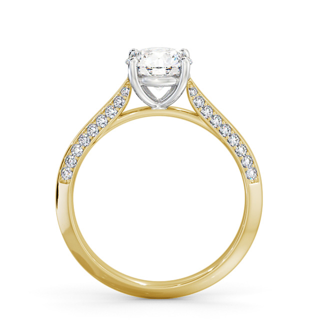 Alford ENRD152S_YWG_UP