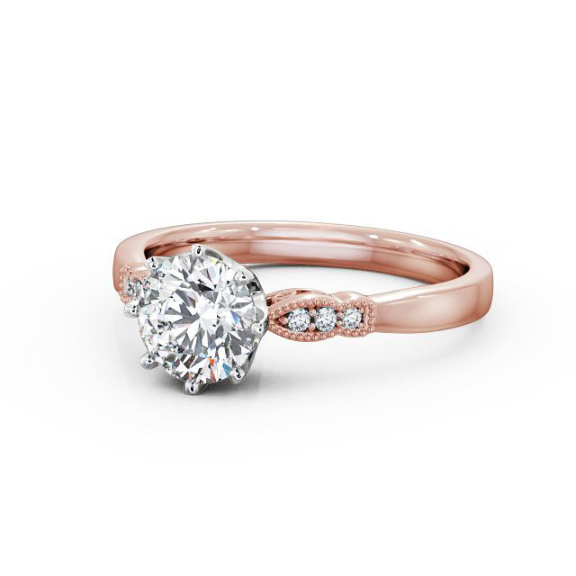 Chelise ENRD81_RWG_FLAT