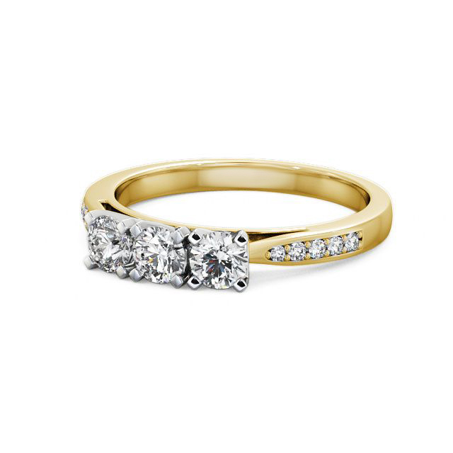 Radley TH11S_YWG_FLAT