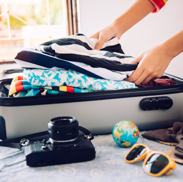 hand luggage