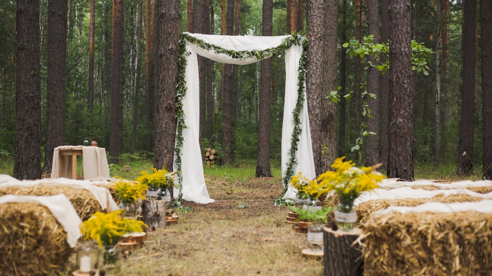 5 Tips for  Planning a Magical Autumn Wedding